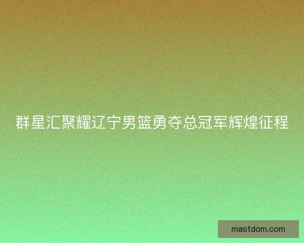 群星汇聚耀辽宁男篮勇夺总冠军辉煌征程